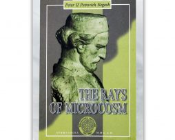 The_rays_of_microcosm_negosh